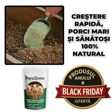 Aditiv Natural pentru Îngrășarea Porcilor PorcGrow™