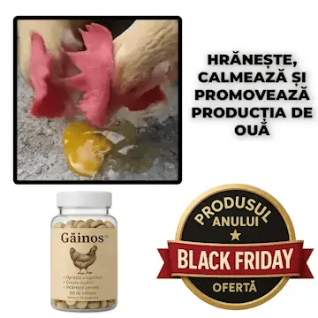 Pastile pentru Găini - Găinos™