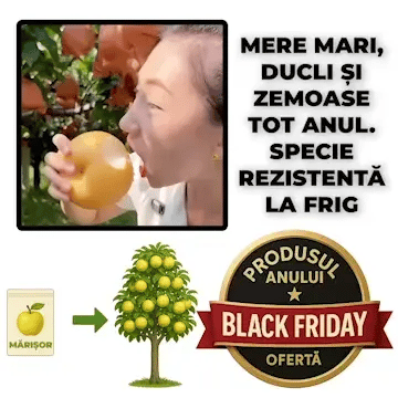 Puiet de Măr Ușor de Crescut - Mărișor™