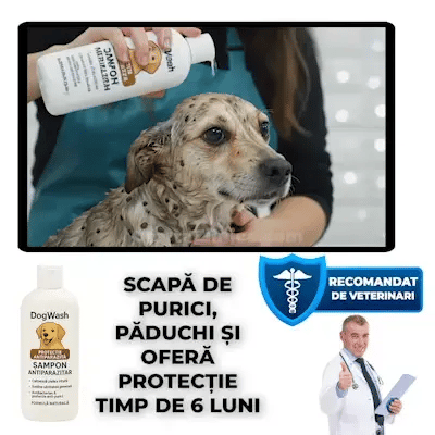 Șampon Profesional 4 în 1 - DogWash™