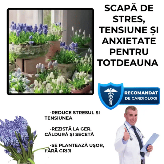 Florile Anti-Stres -BloomRelax™