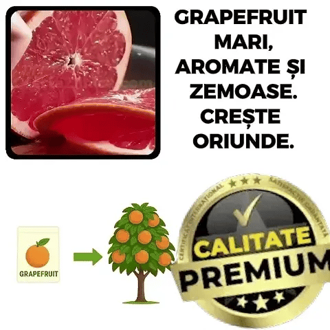 Pomul de Grapefruit MagicGrow™