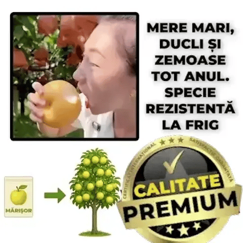 Puiet de Măr Ușor de Crescut - Mărișor™