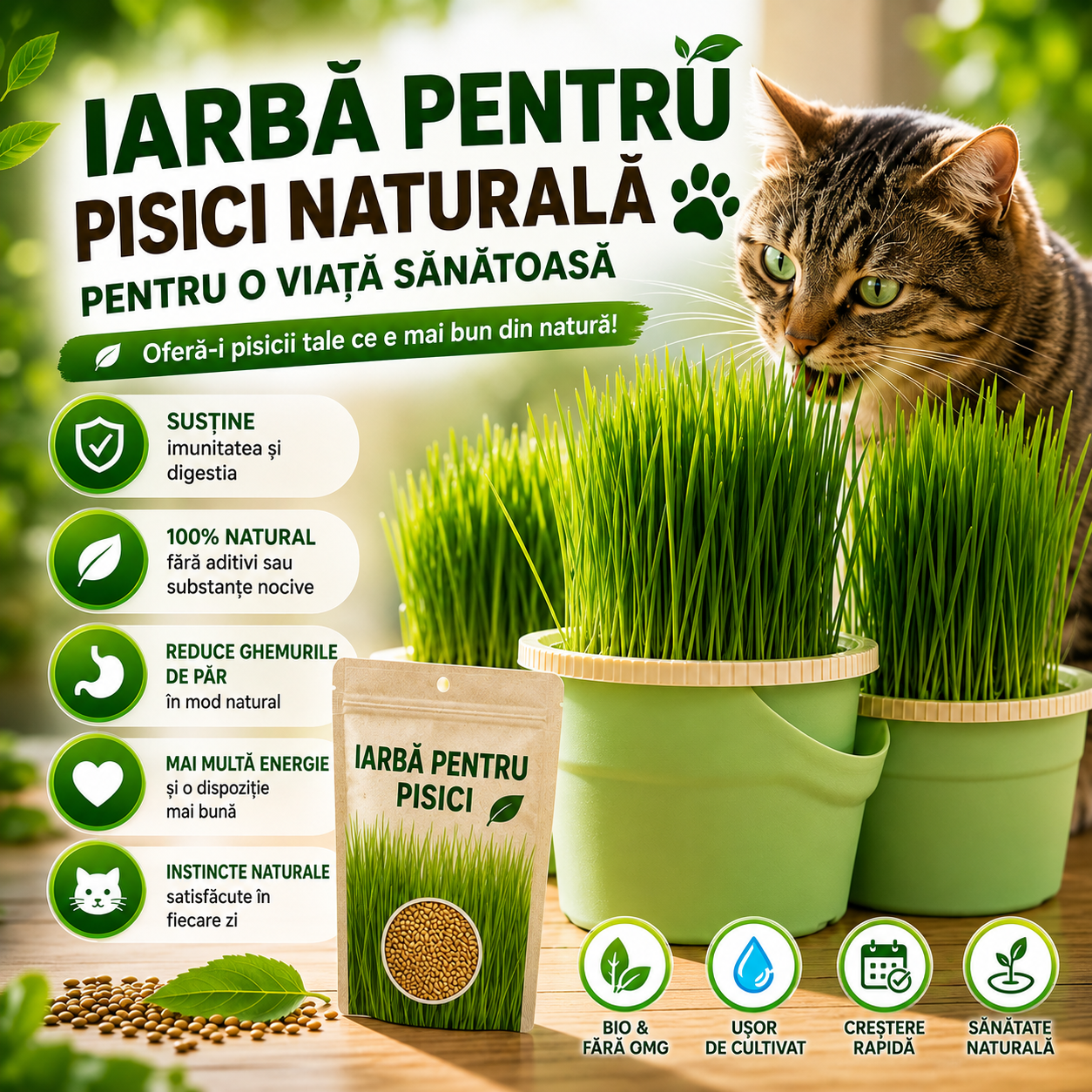 Iarbă Naturală pentru Pisici MiauVerde™